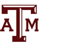 texas logo