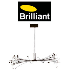 1briliant1
